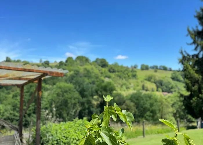 Le Cocon De * 瑟鲁堡